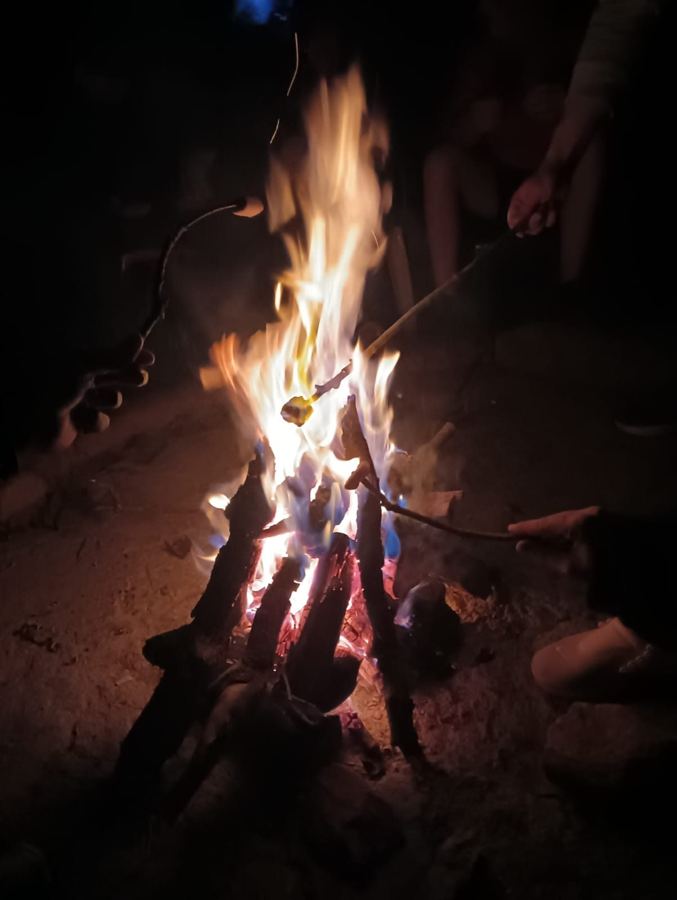 Campfire at night